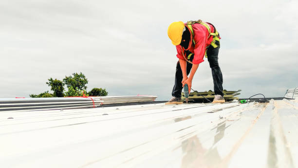 Best Cold Roofs  in Hastings, NE